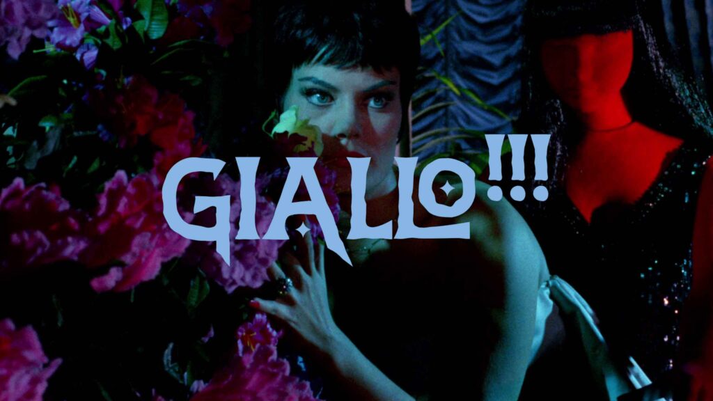 Sekcja_Giallo-1024×576